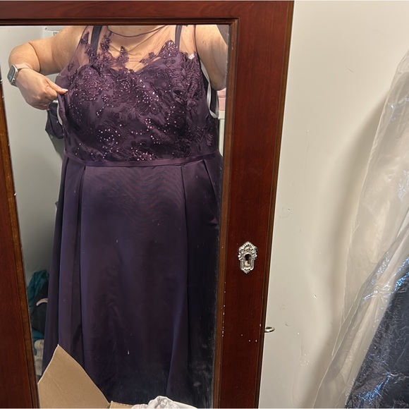 David’s Bridal Plum Lace Formal Gown with sash - Picture 2 of 7
